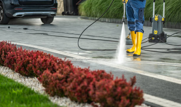 Best Residential House Exterior Washing  in Waverly, IL